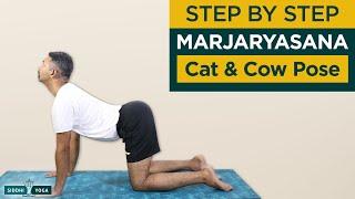 Marjaryasana (Cat and Cow Pose)How to Do Step by Step for Beginners with Benefits and Precautions