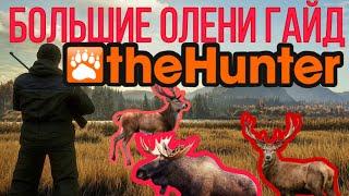 The Hunter Classic Большие олени Лось, Рузвельт, Благородный, Северный  олень помощь новичкам!!!!