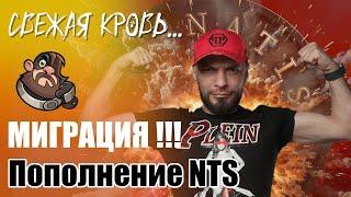 Скоро МИГРАЦИЯ !!! Обсуждаем будущее пополнение NTS. Как попасть в НАТИСК ???