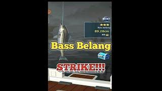 Mancing Ikan Bass Belang Di Peta Rahasia-Fishing Hook Indonesia