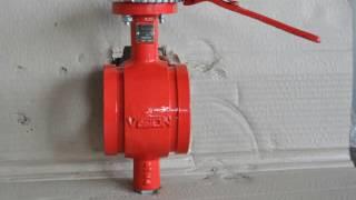 Grooved end butterfly valve of red colour