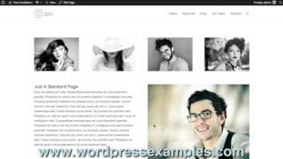 Elegant Themes Divi WordPress Theme Tutorial