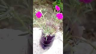 Artificial blue pot reassemble with Flowers