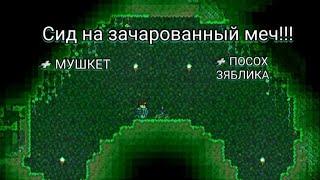 Сид на зачарованный меч, посох зяблика и мушкет! Terraria.