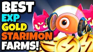 2023 GUIDE: HOW EXPERTS FARM EXP/GOLD/STARIMON! | DISLYTE