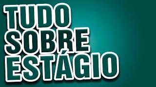 O QUE É O ESTÁGIO? QUEM PODE ESTAGIAR? OS TIPOS DE ESTÁGIO