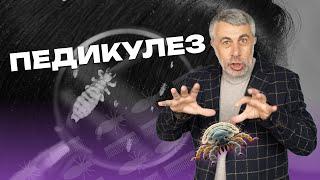 Педикулез. Не стыдно. Не страшно. Не сложно. - Как? - Сейчас расскажем...