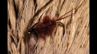 Tying a Brown Ostrich Nymph with Martyn White