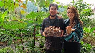 ELES PLANTAM COMIDA NO QUINTAL DE CASA! A AGROFLORESTA E CULTIVO DE COGUMELOS URBANO - BLUMENAU SC