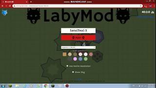 Instal Kills ~ LabyMod Hacks In Moomoo.io |Part 2|