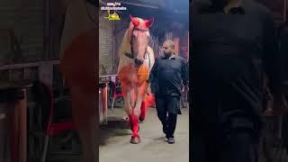 SHAHZAMAN BADSHAH | 2 Safar 2023 | Muhala Shiaa Mochi Gate Lahore | Babri Butt