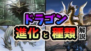 【ドラゴンの種類】ドラゴンの進化と見分け方　ゆっくり解説【伝説の生物】