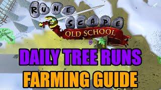 Daily Tree Runs Farming Guide - Old School RuneScape