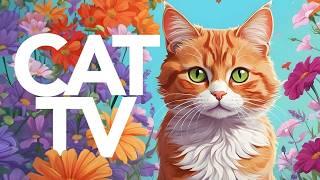 CAT TV - Outdoor Adventuring Video for Cats | Birds, Trail Walks and More! 