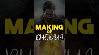 How BHEDIYA CGI was made by DIRECTOR AMAR KAUSHIK