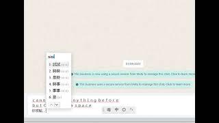 Urgent Complaint: Critical Issues with Google Input Tools Extension for Chinese Typing