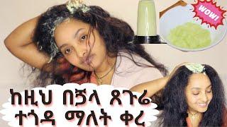 ለተሰባበረ // ለሳሳ // ለጤነኛ ጸጉር እድገት ተመራጭ ነው// Best Hair Growth  Food ….. You’ll Surprise !