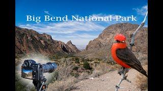New Big Bend National Park, How to Plan Your Trip, What to See, Where to Camp, Wildlife & More