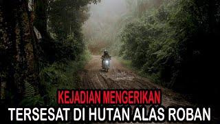 KEJADIAN MENGERIKAN TERSESAT DI HUTAN ALAS ROBAN - CERITA HOROR - KISAH HOROR - CERITA MISTIS