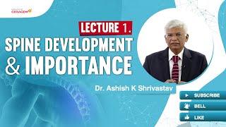 Lecture 1. Spine Development & Importance