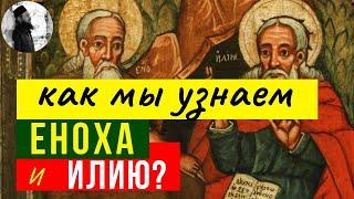 Как узнать пророков Еноха и Илию? Два свидетеля. Две маслины. Антихрист. Максим Каскун