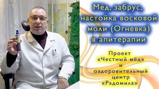 Мёд, забрус, настойка восковой моли (Огневка) в апитерапии.