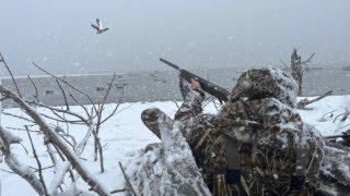 Mallards in the Snow | Duck Hunting Harsh Winter Conditions