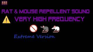 ️(Extreme Version)  Rat & Mouse Repellent Sound Very High Frequency (6 Hour)