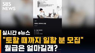 "토할 때까지 일할 분"…씁쓸한 신입사원 모집 공고 / SBS / 실시간 e뉴스