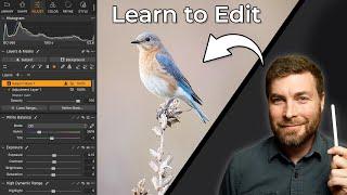 How to Make Your Bird Photos Pop (Photo Edit Fridays - Ep. 1)