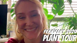 2020 Apartment House Plant Tour