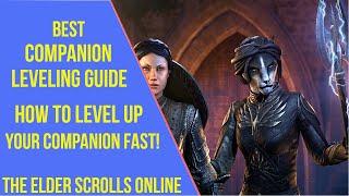 ESO Best Companion Leveling Guide - How to Level Up your Companion Fast