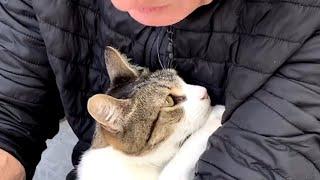 Disabled cat finds the man of his dreams