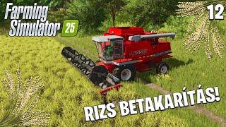 FARMING SIMULATOR 25 LIVE #12 - Rizs betakarítás! Új gyár!