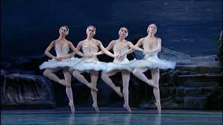 Swan Lake  Act II  Pas de quarte (Dance of 4 Little Swans)  -  American Ballet Theatre