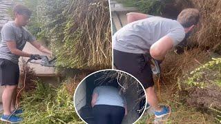 New Homeowners Discover Secret Feature in Their Garden: ‘Love a BOGO!’