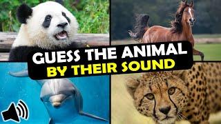 Guess the Animal Sound Game | 31 Animal Sounds Quiz | Multiple Choice