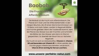 Baobab - Die Frucht des Affenbrotbaum #superfood #vegan #rohvegan #baobab