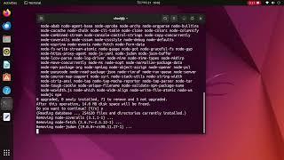 Tutorial - 4: Step-by-Step Guide to Completely Removing Node.js and npm from your Ubuntu Linux