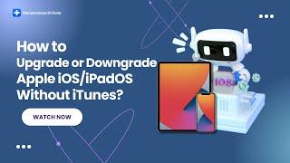 How To Upgrade or Downgrade Apple iOS/iPadOS Without iTunes?