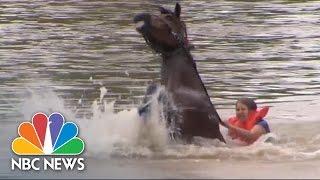 Woman Rescues Horse From Floodwaters | NBC News