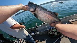 Jigging for Big King Salmon. Point Defiance/Pugetsound