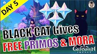 [Day 5] Neko (The Black Cat) Gives Free Primogems & Mora | Genshin Impact