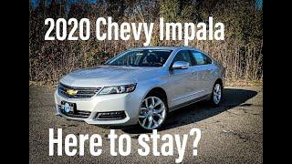 2020 Chevrolet Impala - FULL Walk Around and Review - Could it be the last year?