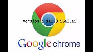 ChromeOptions for Chrome Browser Version 111.0.5563.65