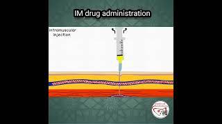  INTRAMUSCULAR (IM) INJECTION, PROCEDURE | ANIMATED EXPLANATION