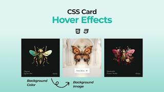 CSS Card Hover Effects | HTML & CSS