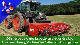 Weed control in organic sugar beet - 4 machines compared (Steketee IC-Weeder, Garford Inrow, Harrow)