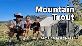 Mountain Trout Fishing & Camping! Catch & Cook!