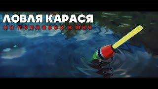 Ловля карася в мае на червя. Карась весной на удочку. Spinningist_NN